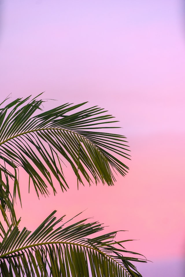 5 Ways to Make the Most of the end of Summer